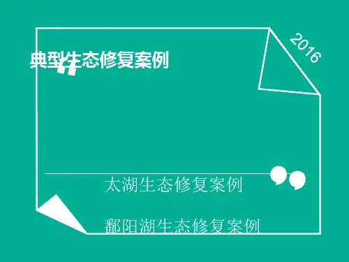典型生态修复案例1