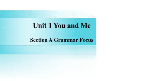 Unit 1 Section A(Grammar Focus)课件人教版2024新教材七年级上册英语