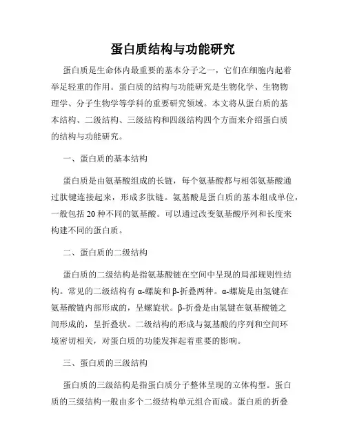 蛋白质结构与功能研究