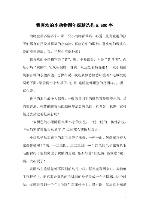 我喜欢的小动物四年级精选作文600字