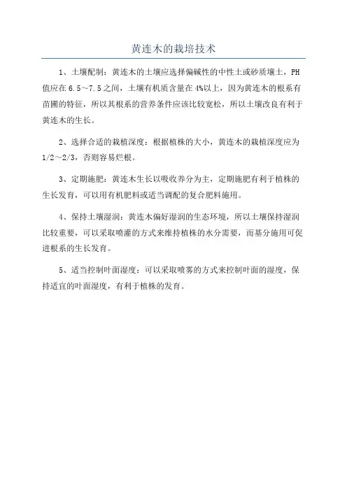 黄连木的栽培技术