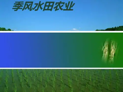 季风水田农业PPT课件(上课用)2 人教课标版