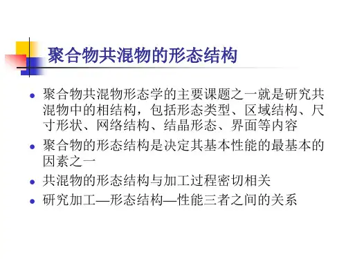 聚合物共混物的形态结构