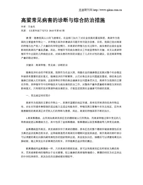 高粱常见病害的诊断与综合防治措施