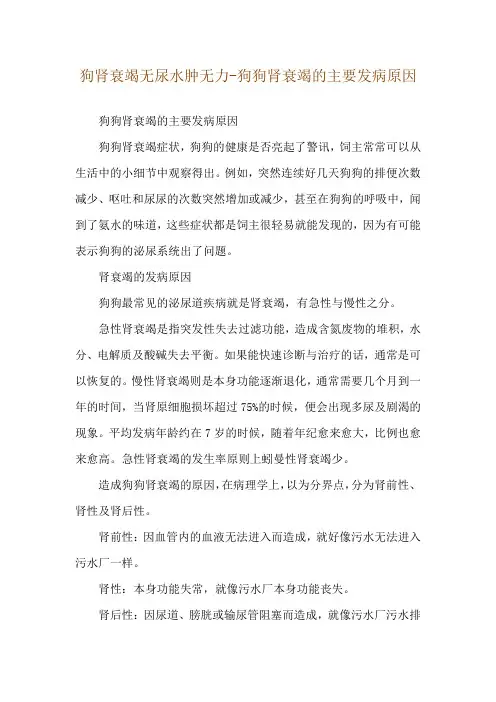 狗肾衰竭无尿水肿无力-狗狗肾衰竭的主要发病原因