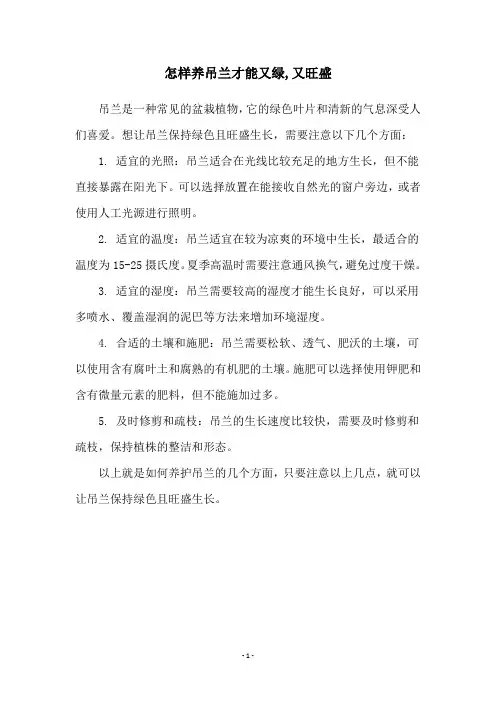 怎样养吊兰才能又绿,又旺盛