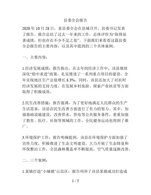 县委全会报告