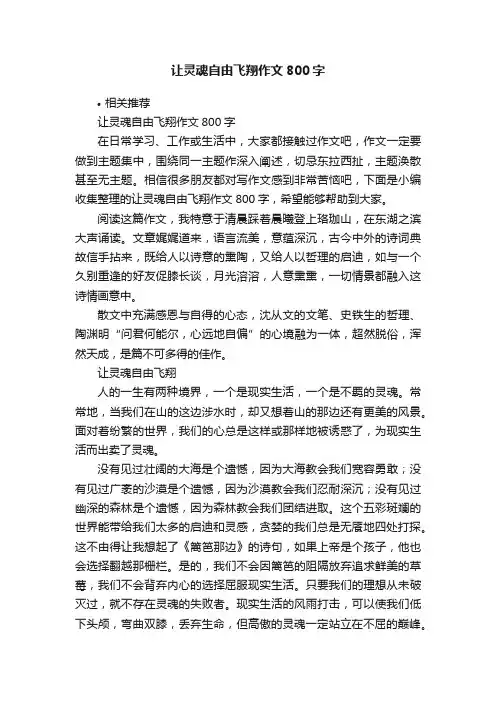 让灵魂自由飞翔作文800字