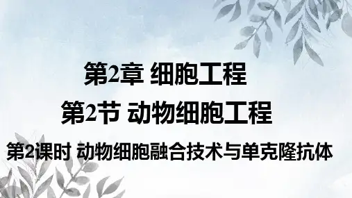 2.2.2动物细胞融合技术与单克隆抗体(含视频)(教学课件)高中生物人教版(2019)选择性必修3