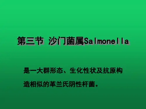 医学微生物学,沙门菌属的种类PPT课件