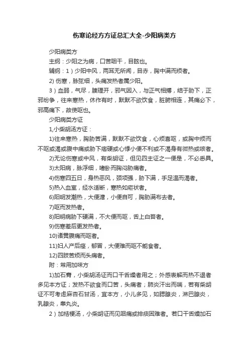 伤寒论经方方证总汇大全-少阳病类方