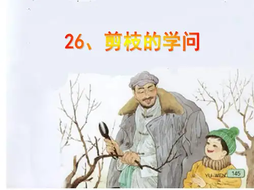 三年级2013年苏教版语文三下《剪枝的学问》ppt课件11