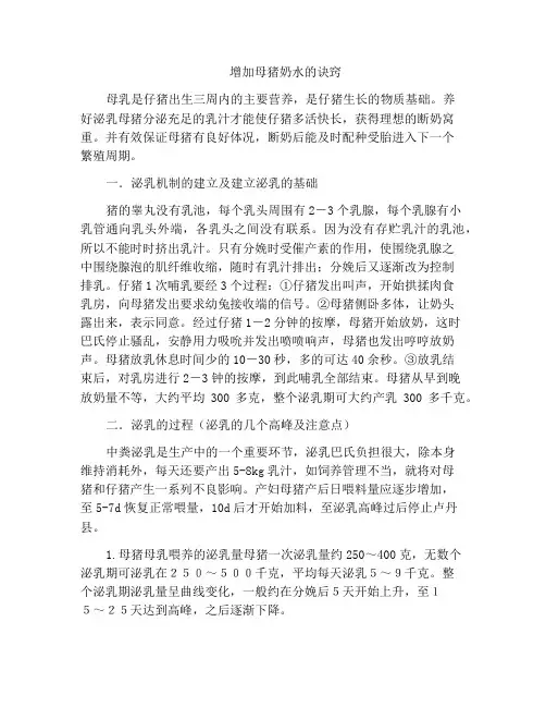 增加母猪奶水的诀窍