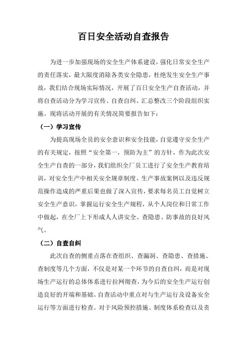 百日安全自查报告