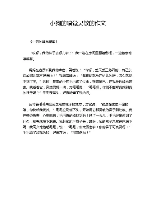 小狗的嗅觉灵敏的作文