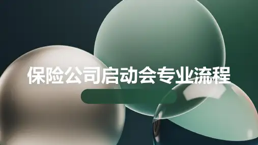 保险公司启动会专业流程