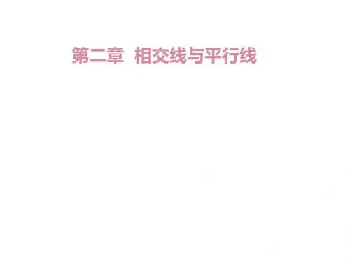 北师大版七年级数学 第二章 相交线与平行线 复习课件(共19张PPT)