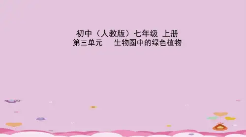 人教版七年级生物上册复习课件 3.2.2  植株的生长(79张ppt)