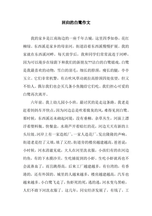 回归的白鹭作文
