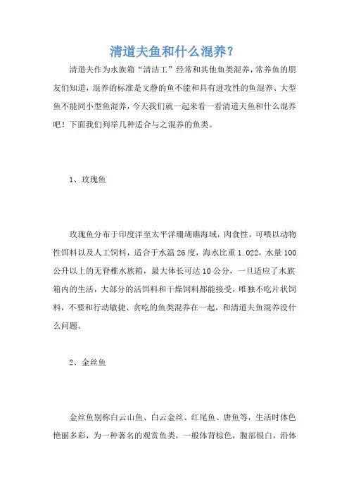 清道夫鱼和什么混养？