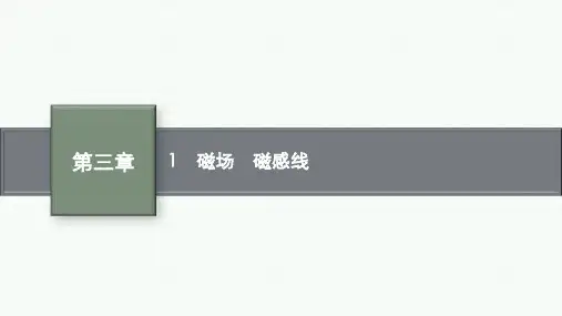 教科版高中物理必修第三册精品课件 第三章 电磁场与电磁波初步 1 磁场 磁感线