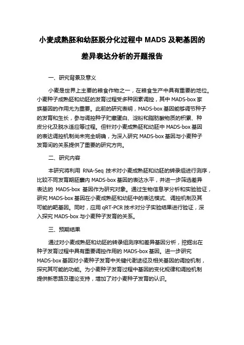 小麦成熟胚和幼胚脱分化过程中MADS及靶基因的差异表达分析的开题报告