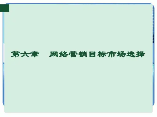 第六章  网络营销目标市场选择