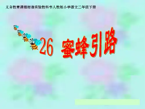 人教新课标二年级语文下册《蜜蜂引路》教学课件
