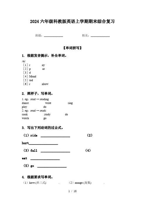 2024六年级科教版英语上学期期末综合复习