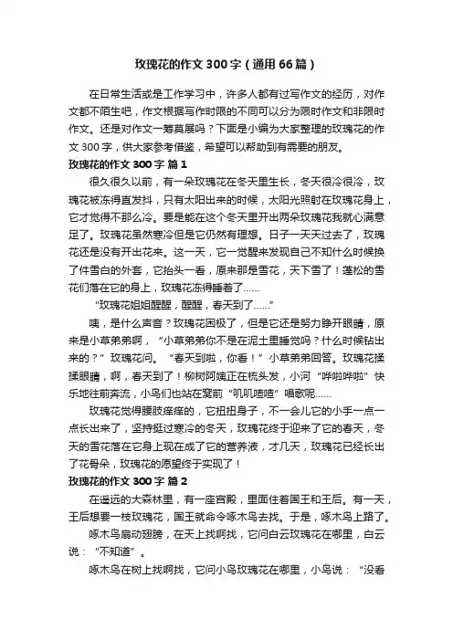 玫瑰花的作文300字（通用66篇）