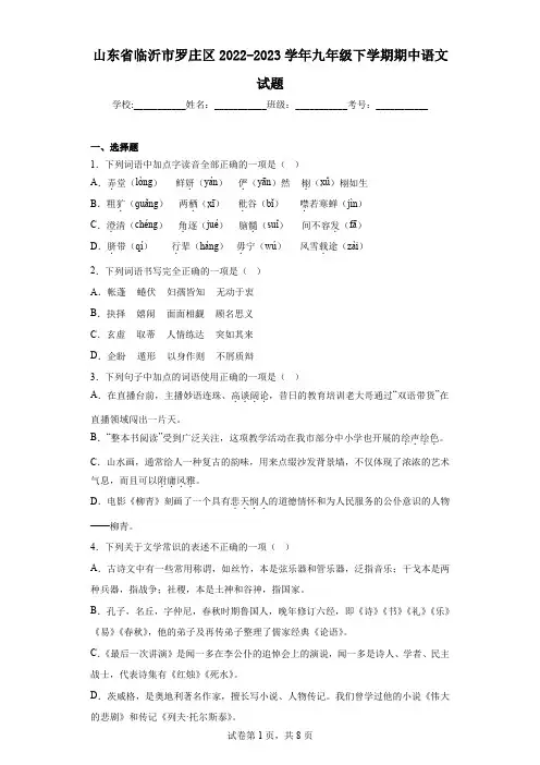 山东省临沂市罗庄区2022-2023学年九年级下学期期中语文试题