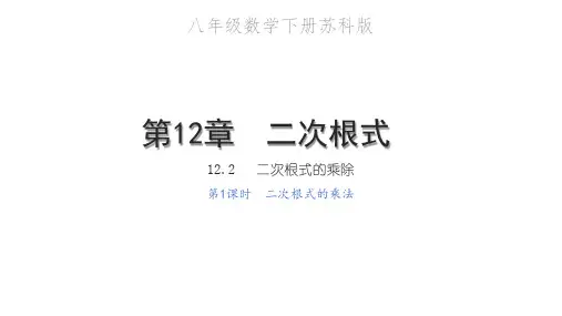 二次根式的乘法PPT课件
