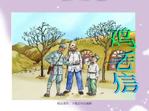 语文《鸡毛信》课件【精编ppt】