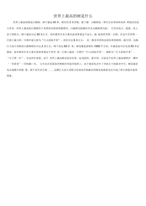 世界上最高的树是什么