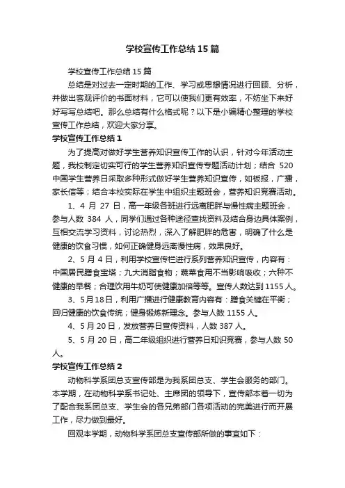 学校宣传工作总结15篇