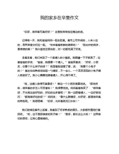 我的家乡在辛集作文
