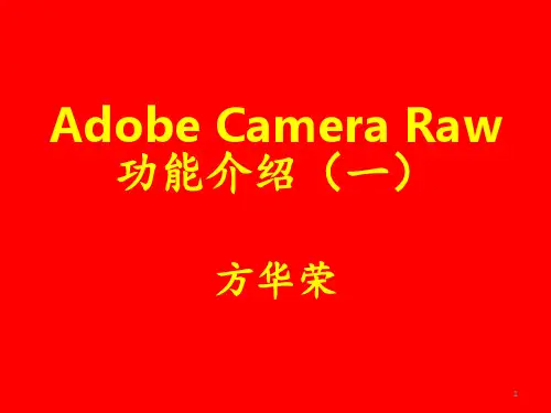 Adobe Camera Raw功能介绍