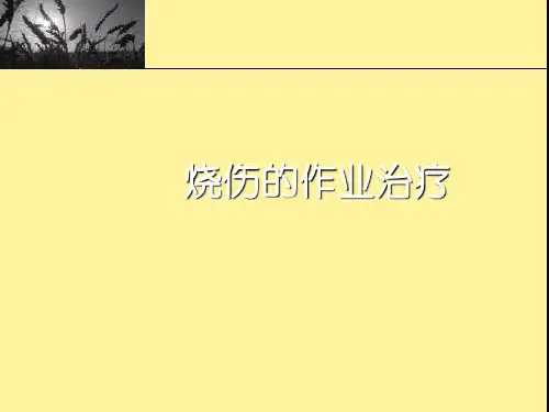 烧伤的作业治疗PPT课件