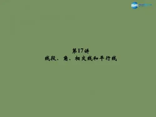 【名师面对面】2015中考数学总复习 第5章 第17讲 线段、角、相交线和平行线课件