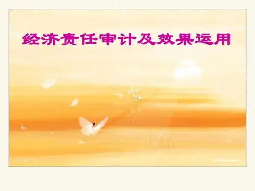 经济责任审计
