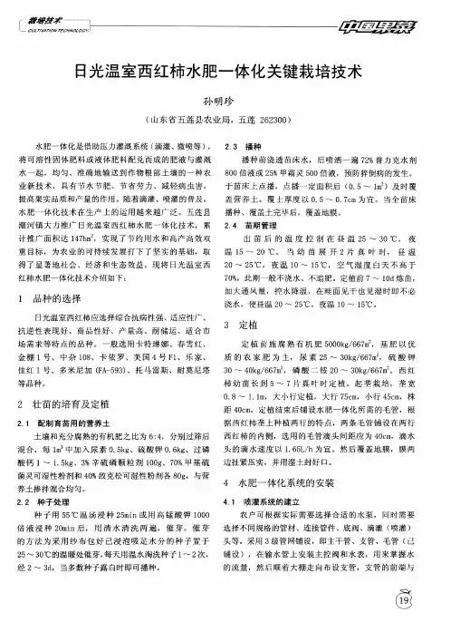 日光温室西红柿水肥一体化关键栽培技术