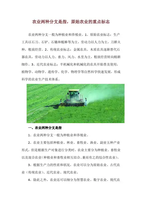 农业两种分支是指,原始农业的重点标志