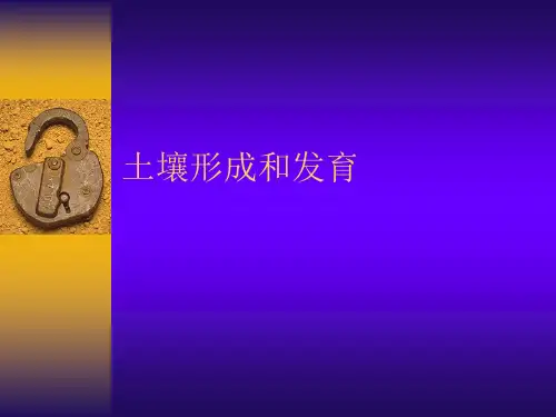 第六章：土壤形成和发育(原7章)