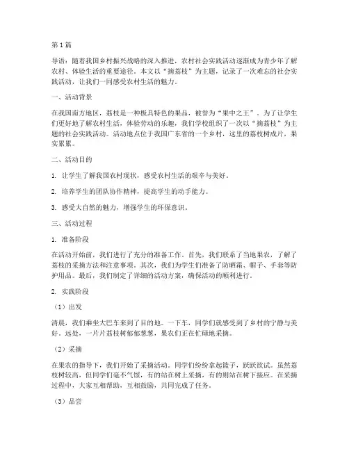 摘荔枝的社会实践活动(3篇)