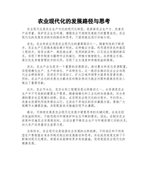 农业现代化的发展路径与思考
