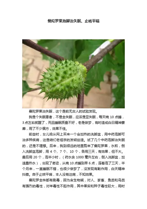曼陀罗果泡脚治失眠、止咳平喘