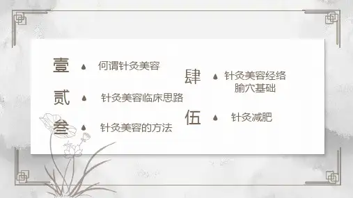 中国风针灸美容简介PPT模板