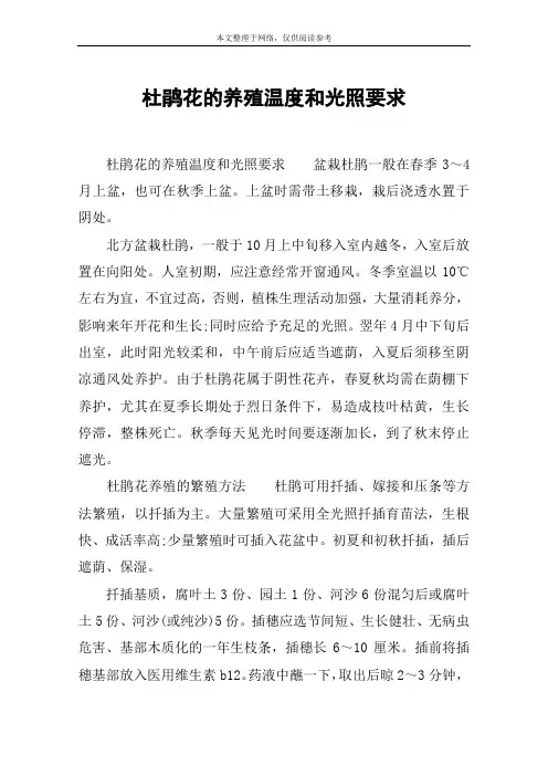杜鹃花的养殖温度和光照要求