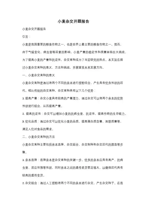 小麦杂交开题报告