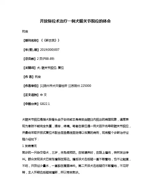 开放复位术治疗一例犬髋关节脱位的体会
